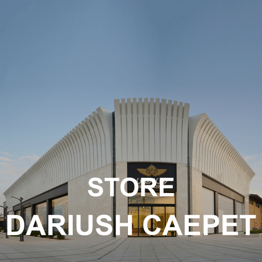 Dariush Carpet Store