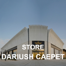 DARIUSH CARPET STORE